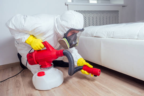 Best Rat Extermination Near Me  in Madison, WI