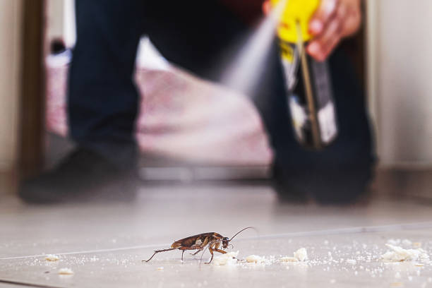 Best Rodent Control Near Me  in Madison, WI